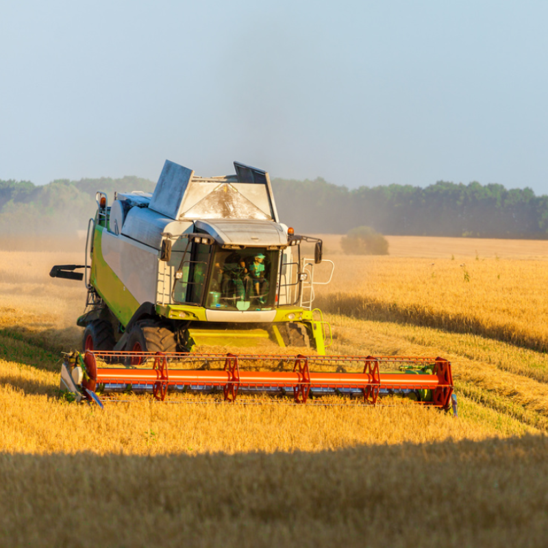 Wheat/Rice Combine Harvester