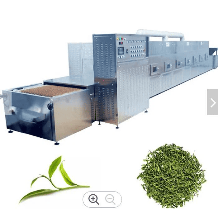 Proin venenatis ipsum